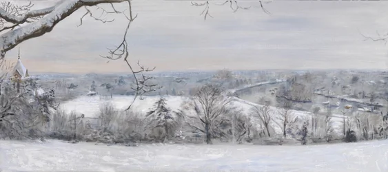 Diamants blancs Richmond Hill neige, 2015
