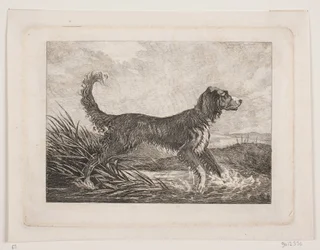 Un chien