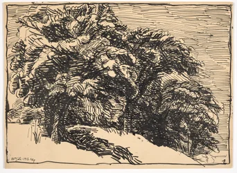 Chênes sur une berge