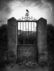 Porte sombre, éclair, corneille