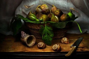 Nature morte rustique aux figues