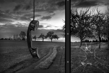 Un secteur de la téléphonie mobile en pleine mutation