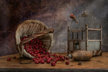 Cage à oiseaux vintage et cerises