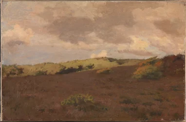 Paysage de lande. Automne