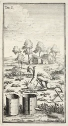 Jardinier récoltant, pub. Erfurt en Thuringe, 1753-55
