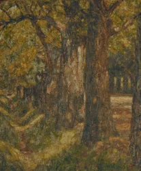 Allée du Belvédère en plein été