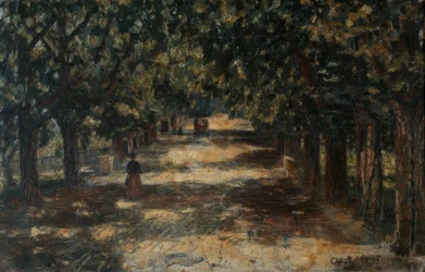 Allée de châtaigniers vers Belvedere