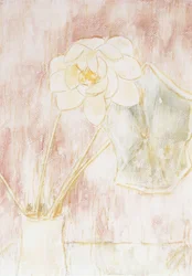 Fleur de Lotus