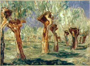 Saules au printemps
