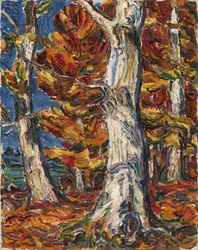 Oiseaux blancs à Fall