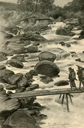 Chutes d