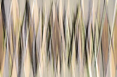 Lignes terreuses (Résumé)
