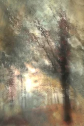 Lueur de la forêt en automne