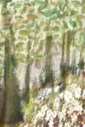 Fleurs de la forêt enchantée