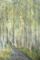 Sentier enchanteur dans la forêt