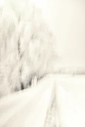 Un sentier hivernal de rêve