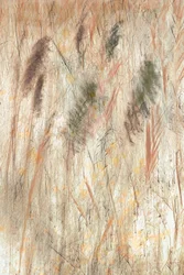 Texture de prairie aux tons terreux
