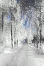 Sentier enneigé et éthéré