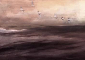 Le vol éthéré du cygne