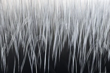 Lignes verticales éthérées