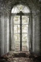 La fenêtre de la forêt oubliée
