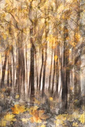 Forêt d