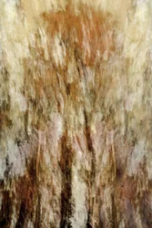 Impression de la forêt dorée
