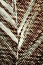 Motif de feuille finement travaillé