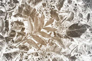 Motif de feuilles inversées