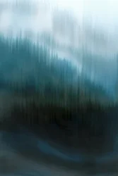 Forêt bleue brumeuse