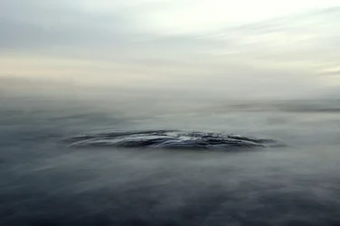 Eaux brumeuses et sereines