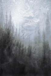 Forêt hivernale brumeuse
