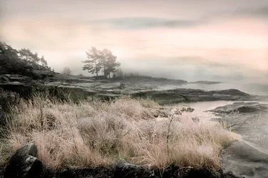 Côte brumeuse en hiver