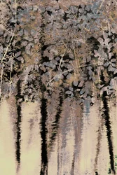 Réflexions sur la forêt de Moody
