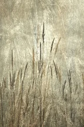 Herbes hautes rustiques