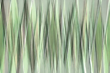 Lames vertes sereines