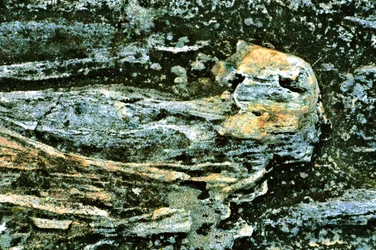 Couches de terre texturées