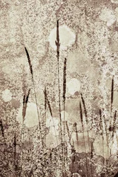 Herbe sauvage texturée