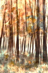 Lueur chaleureuse de la forêt