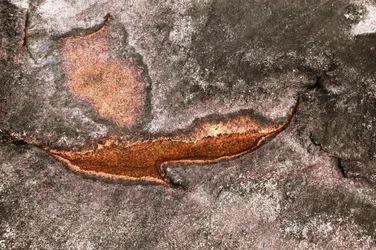 Surface minérale altérée