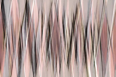 Les murmures de l