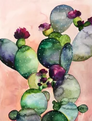 Fleurs de cactus colorées