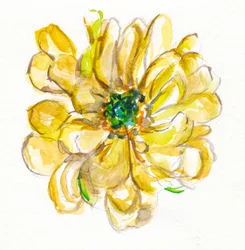 Fleur jaune délicate