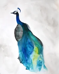 Élégant paon bleu