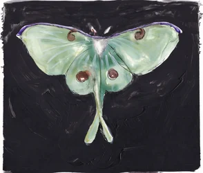 Papillon de nuit vert « Luna »