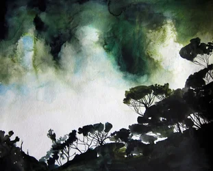 Ciel de la forêt de Moody