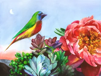 Jardin de pivoines « Oiseaux colorés »