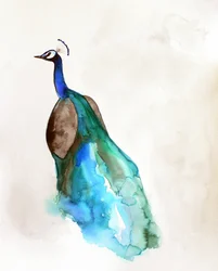 Bleu paon éclatant