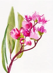 Fleurs roses éclatantes