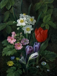 Fleurs de jardin au printemps (dont marguerites, tulipes, jonquilles, crocus et primeveres). Peinture de Christine Marie Lovmand (1803-1872) Collection privee.
